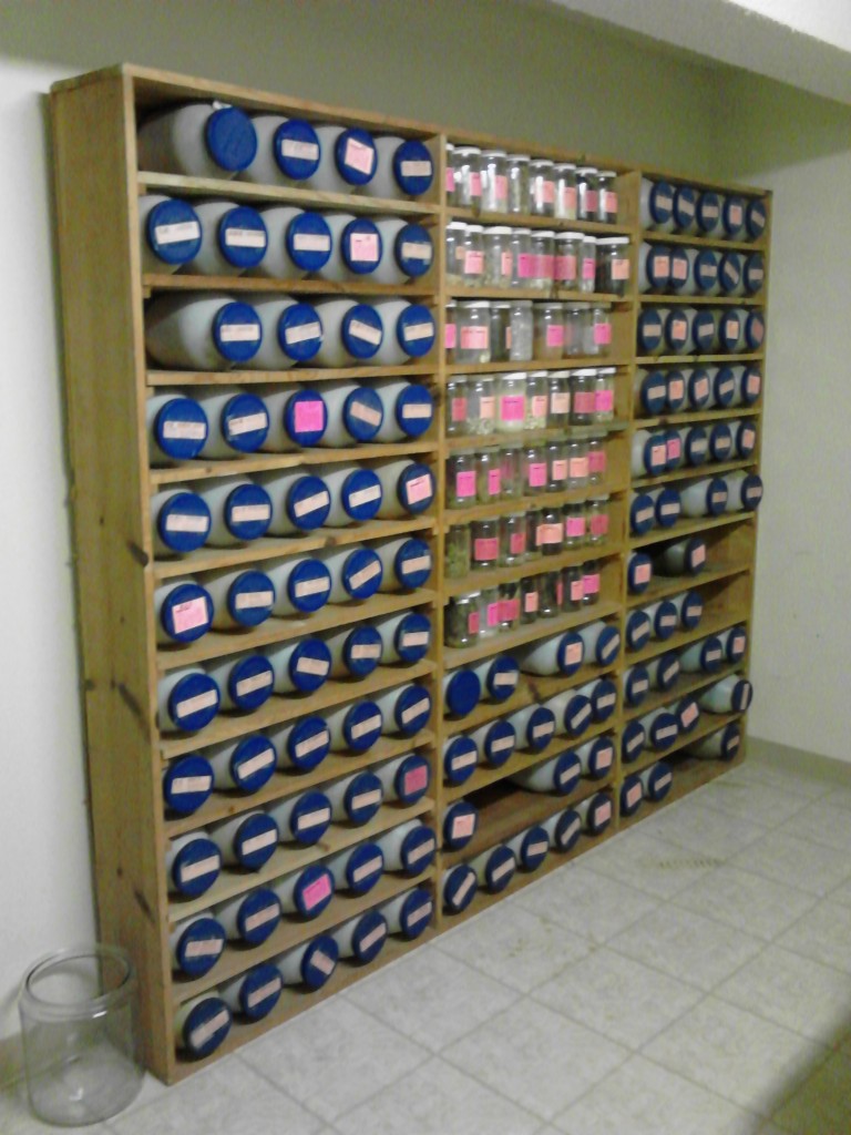 Acupuncture Arts Chinese Medicine Clinic Honolulu Hawaii