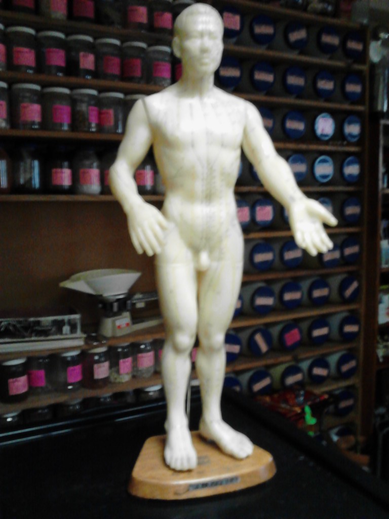 Acupuncture Arts Chinese Medicine Clinic Honolulu Hawaii