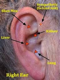 Ear Acupuncture Hawaii